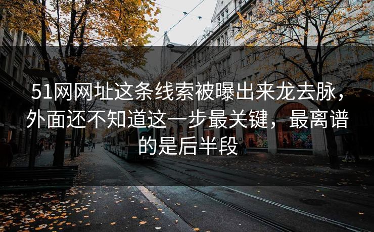 51网网址这条线索被曝出来龙去脉，外面还不知道这一步最关键，最离谱的是后半段