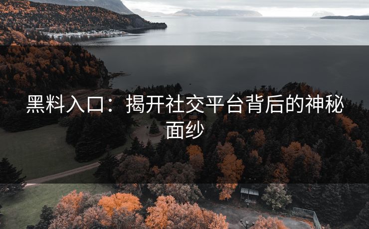 黑料入口：揭开社交平台背后的神秘面纱